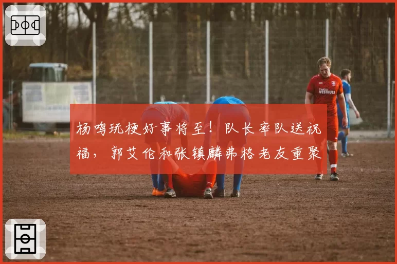 杨鸣玩梗好事将至！队长率队送祝福，郭艾伦和张镇麟弗格老友重聚