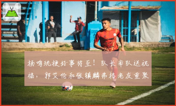 杨鸣玩梗好事将至!队长率队送祝福,郭艾伦和张镇麟弗格老友重聚