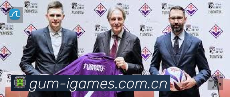 爱游戏平台展示图